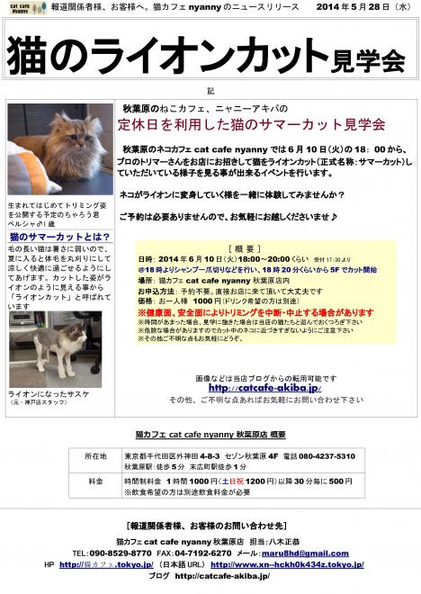 猫のライオンカット見学会