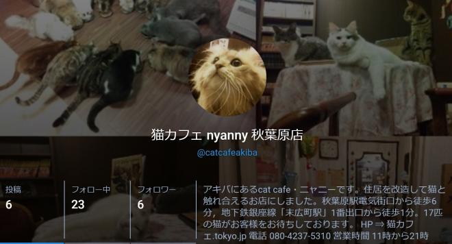 【 猫カフェ cat cafe nyanny 秋葉原店 】 「マストドン」 アカウント開設。