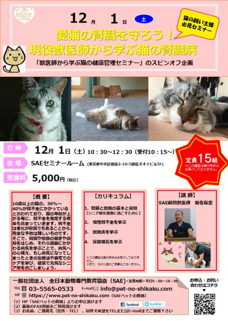 新猫の飼い主のためのセミナー「獣医師から学ぶ心配が尽きない猫の腎臓病」12月1日（土）に開催