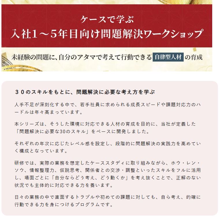 ５年目までに問題解決力を鍛える！若手社員向けワークショップシリーズをリリース
