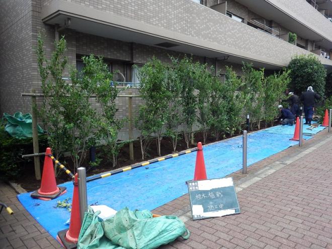 個人・法人、大・小の規模に関わらず、お庭、庭園、緑地、植栽などのお手入れ（管理）及び造成業務