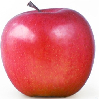 りんごマークの由来