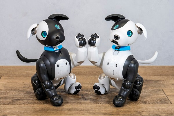 三井住友信託銀行のマスコットキャラクター、「シンジル＆タクセル」のカラーリングを施した「aibo シンジル エディション」（写真左）と「aibo タクセル エディション」（写真右）
