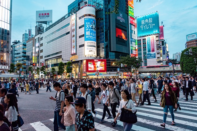 シニアの活用で生産性向上