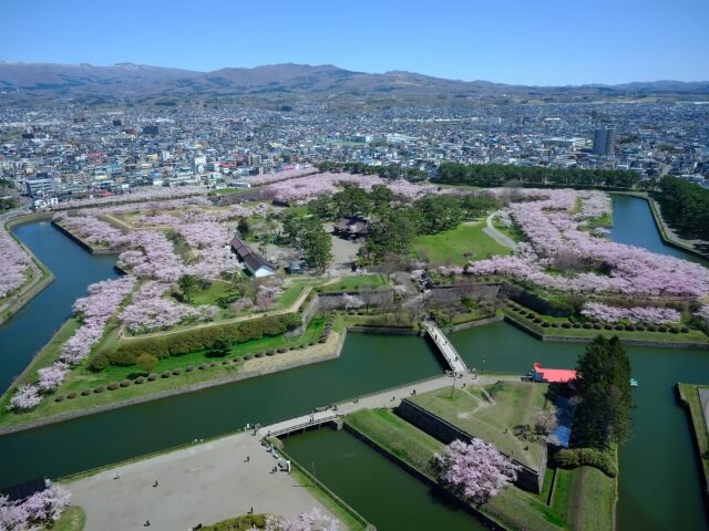 榎本と新政府軍の戦いの舞台となった函館・五稜郭。今は桜の名所として知られる