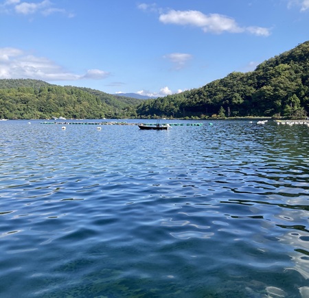 緑の山々に囲まれた日向湖。とても海水の湖とは思えない風情だが