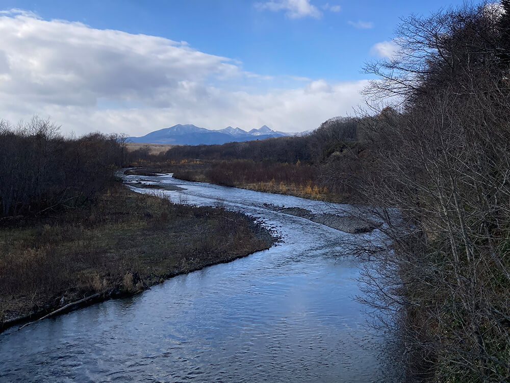 日本で唯一、鮭釣りが許されている忠類川
