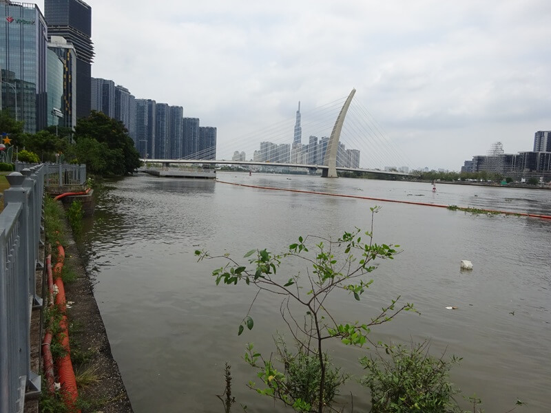 ホーチミン市内を流れるサイゴン川。水は濁っているがナマズ類をはじめ多くの川魚が棲息している