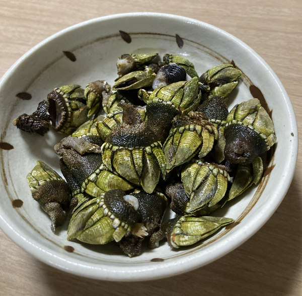 塩茹でしたカメノテ。黒い川の部分に真っ白い身が詰まっている
