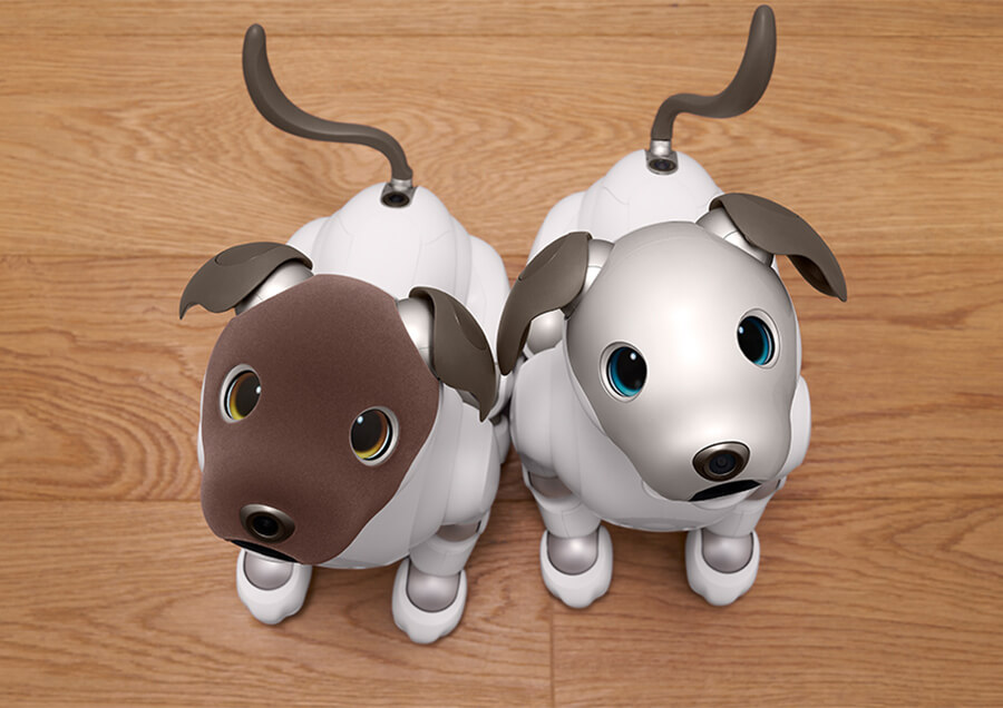 「aibo」の現行機種「ERS-1000」。右がアイボリーホワイトモデル(ERS-1000/W)で、左が2026年スエードタッチモデル「aibo ココアシフォン エディション」(販売終了)