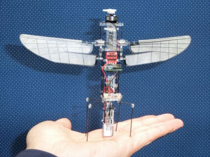 長崎大学による「人間との共生を目指した生物型飛翔ドローンに関するフィジビリティスタディ」。回転翼ではなく生物飛翔（羽ばたき、滑空）型のドローンを開発し、接触に対する安全性や静音性のほか、実際のユースケースなどを調査した（出典：長崎大学工学部工学科構造工学コース 航空宇宙構造工学・空力弾性学研究室）