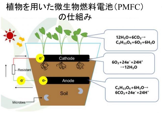 【電池】植物微生物燃料電池