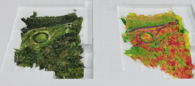 【３D】マルチスペクトルカメラを用いた植生状態の検出と３Dマッピング・３D造形