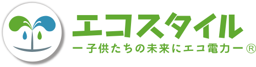 株式会社エコスタイルの企業ロゴ