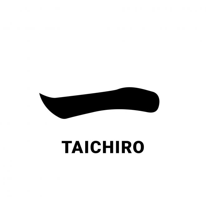 株式会社TAICHIROの企業ロゴ