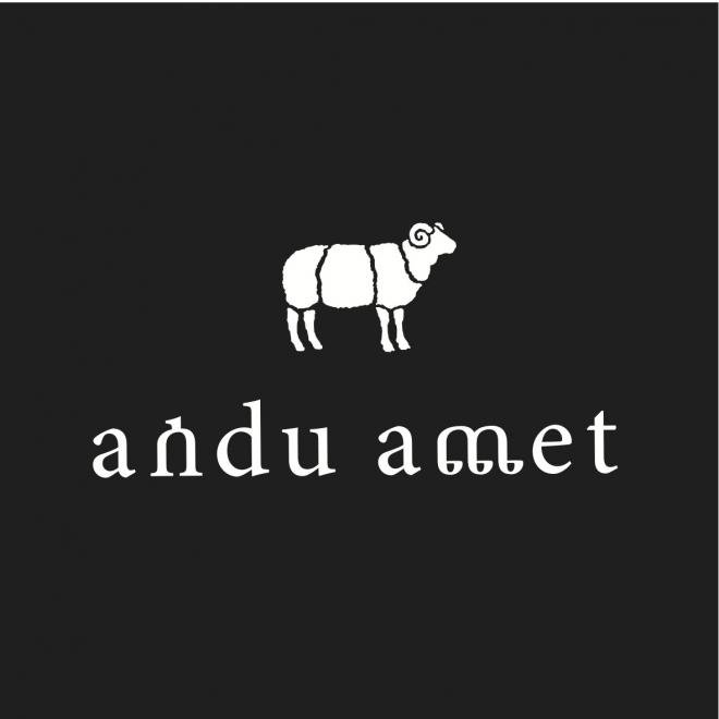 株式会社andu ametの企業ロゴ
