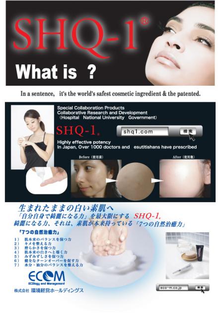 医療品及び化粧品研究開発　国内外ビジネスモデル構築　　　