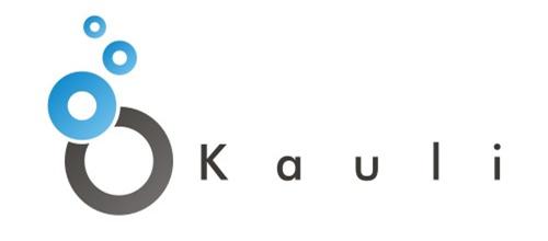 Kauli、アメリカMediaMathが提供するDSPとRTB 取引を国内で初めて同時に開始