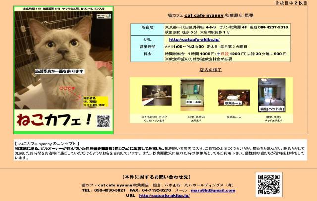 お客様と作る「猫カフェ」チラシ