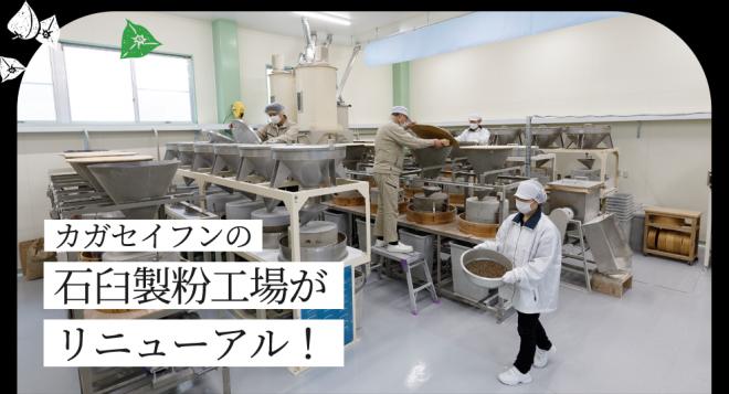 創業145年 石臼挽そば粉製造元(株)カガセイフンが1年かけて、福井在来種専門工場へリニューアル