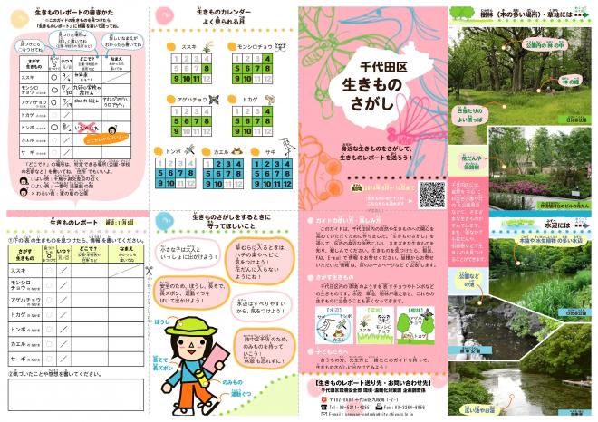 「千代田区生きものさがし」始まる