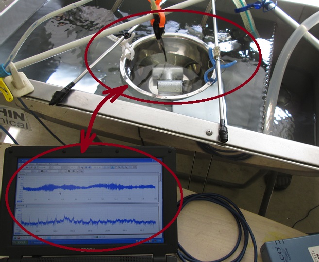 超音波洗浄システム（制御ＢＯＸ）を開発