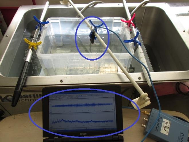   ＜樹脂容器＞を利用した超音波制御技術を開発　Ｎｏ．２