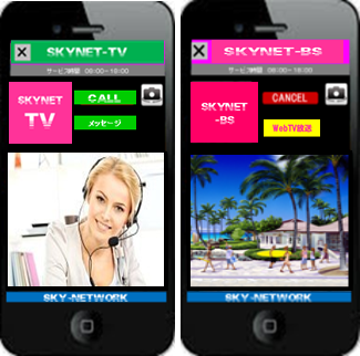 視聴者と対話できる動画広告「Ｂｉｚキャス」登場！