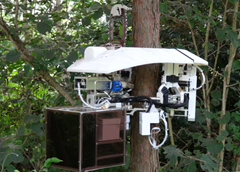 世界初の技術を搭載した枝打ちロボット開発。2014年度日本機械学会東海支部賞技術賞を受賞