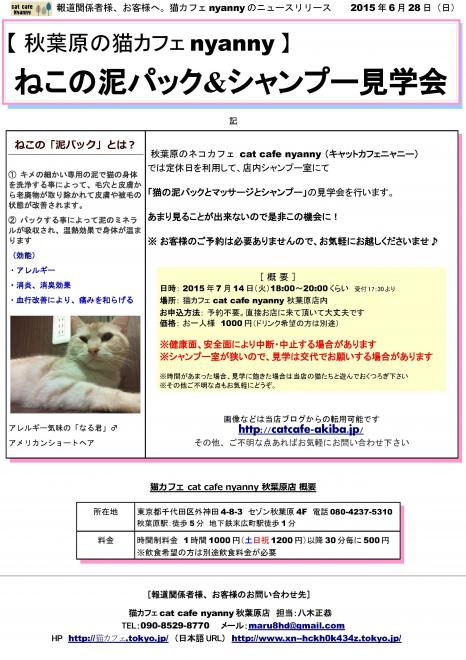 【 秋葉原の猫カフェnyanny 】 ねこの泥パック&シャンプー見学会　