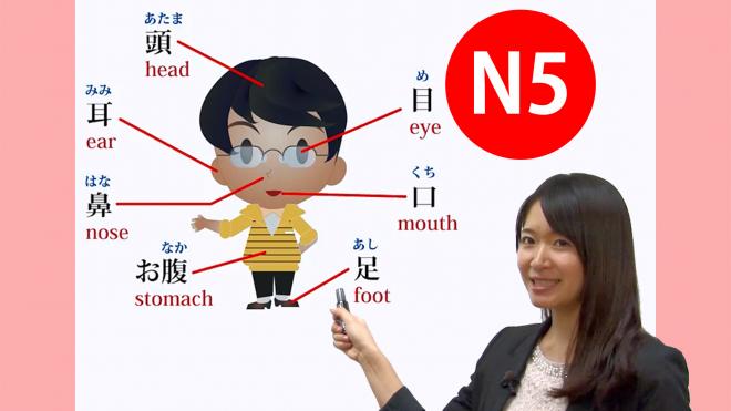 「日本語能力試験N5コース」映像教材提供をオンライン学習プラットフォームUdemyに公開