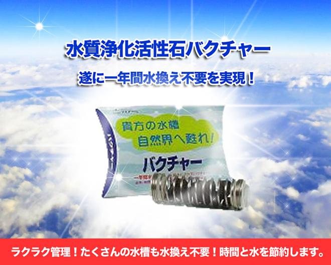 微生物がやってくれます！寒い時期の水槽の水替え「～1年間水替え不要～水質浄化活性石バクチャー」