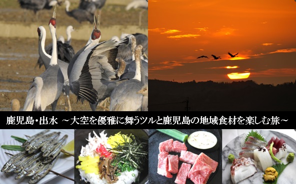 ~出水のツルと地域食材を楽しむ鹿児島の旅~　ホテルウィング出水「冬の使者ツル観光プラン」発売