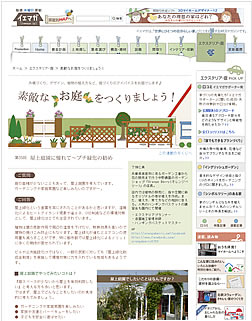 【イエマガ更新】あきらめないで！憧れの屋上庭園・屋上緑化のはじめ方を伝授