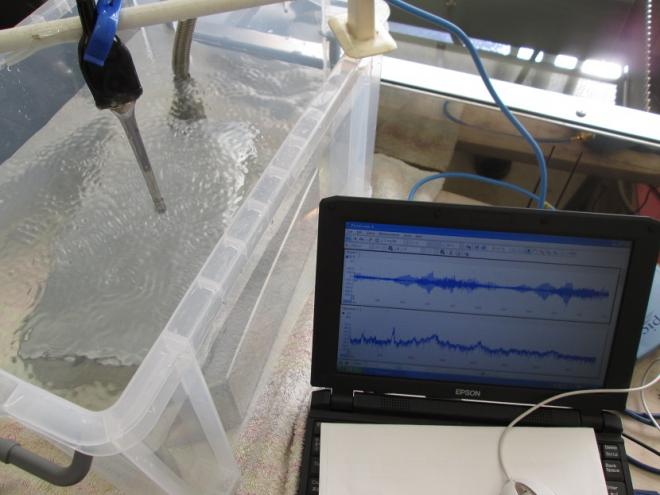 ＜樹脂＞を利用した超音波の伝搬状態をコントロールする技術を開発