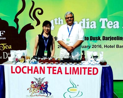 完全なハンドメイドで作る極上の紅茶 摘みたてを皆さんにお届けしたい！