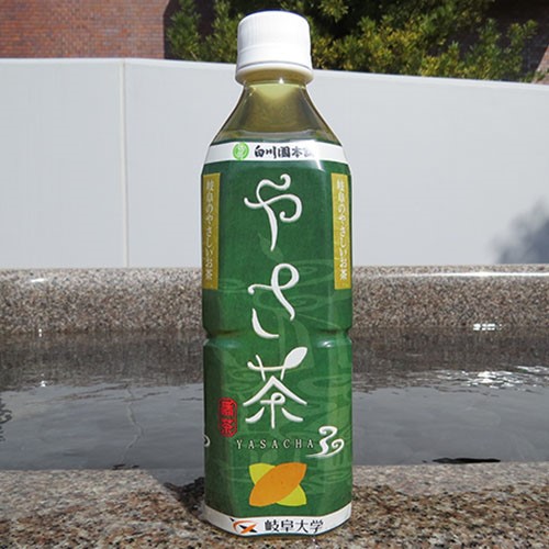岐阜大学発　学生プロジェクト 大学地下水を使ったお茶「やさ茶」3月15日発売
