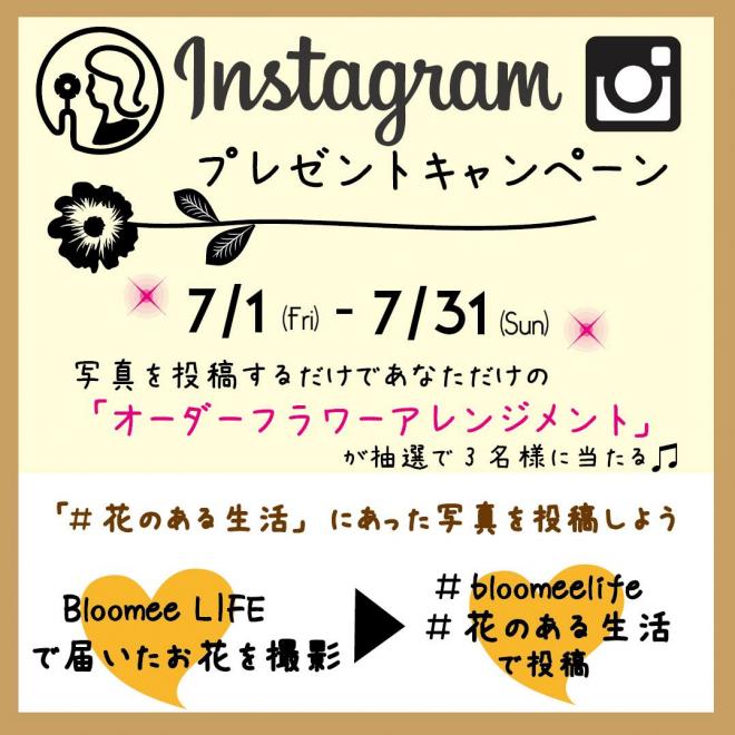 フラワーアレンジメントが当たる！「Bloomee LIFE」がInstagramキャンペーンを開催中