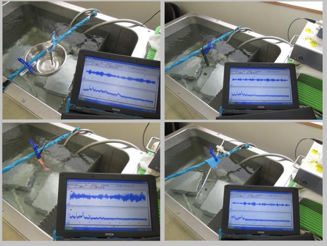 オリジナル装置：超音波テスターによる、超音波伝搬状態の測定動画