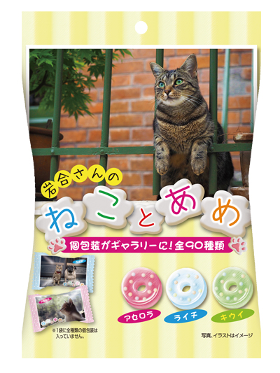 動物写真家　岩合光昭さん撮影のねこ写真が満載！ 『ねことあめ』発売