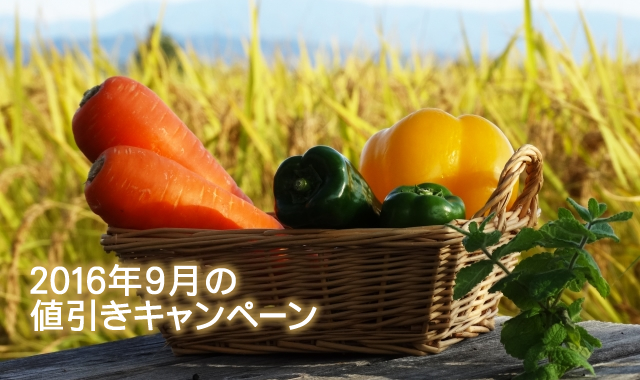 キャンペーン開催のお知らせ 『レジャーや行楽！秋の消費を盛り上げる人気ノベルティ特集』