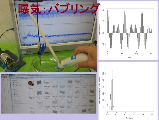ポンプ利用（脱気と曝気）による超音波の非線形制御技術