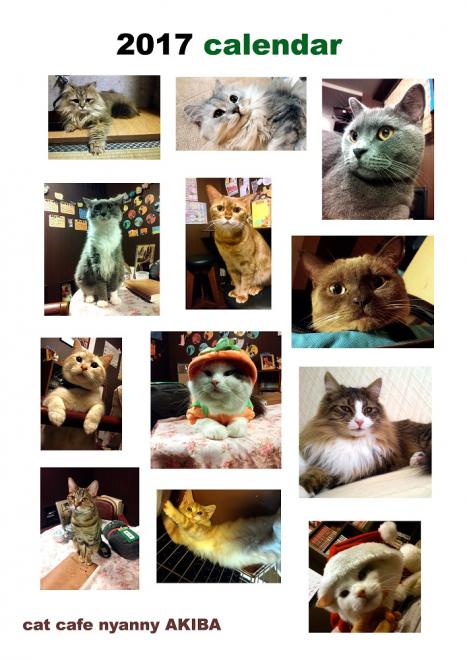 あなたが，猫カフェに思っている事を教えて下さい。 