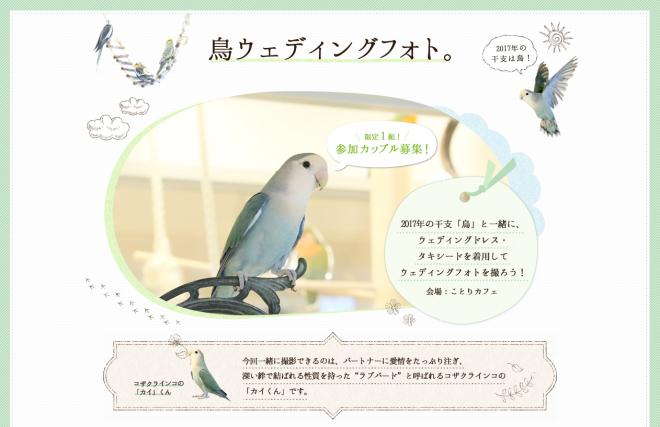 来年は「酉年」！幸せの干支フォト年賀状でごあいさつ 「鳥ウェディングフォト」参加カップル募集！