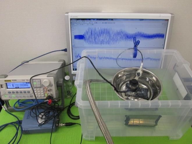 小型超音波振動子によるメガヘルツの超音波制御技術を開発　Ｎｏ．４