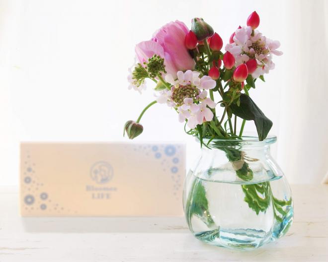 「お花の定期便」を大切な人へプレゼント「Bloomee LIFE Gift」提供開始！