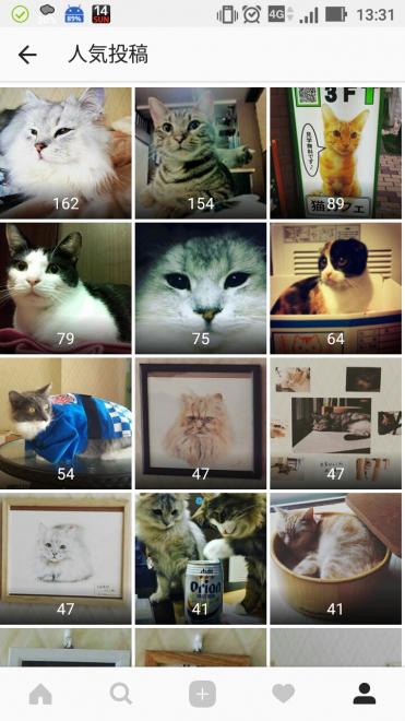 【 猫カフェ cat cafe nyanny 秋葉原店 】 インスタグラム アカウント開設。