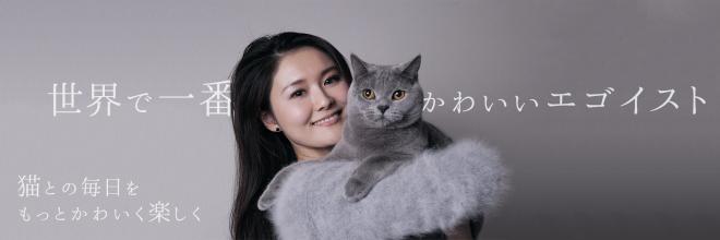猫好き女子”のためのフォトジェニックな猫グッズ通販サイト『necotaro.com』オープン！