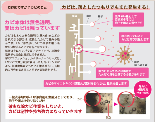 GM プロフェッショナル工法の施工認定店