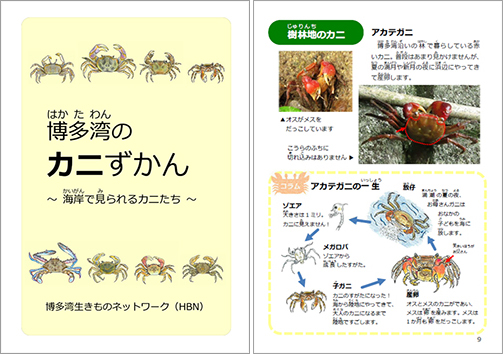 「HBN」発刊　身近ないきもの図鑑シリーズ 第３弾